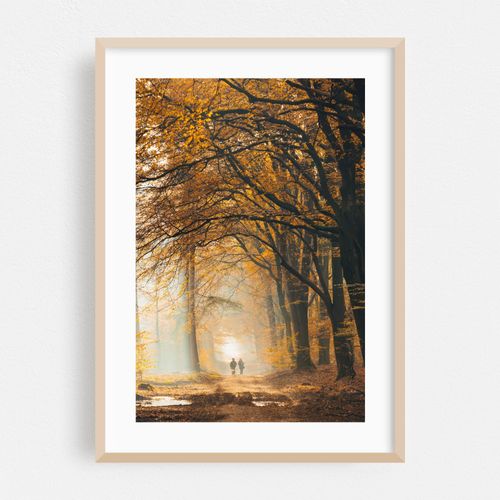Walking in an autumn colored forest 07