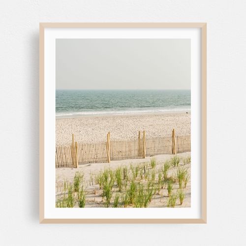 Dunes and Beach, Fire Island 02