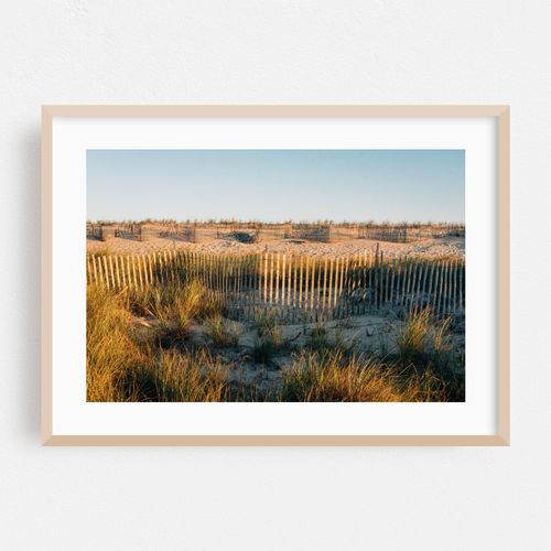 Fire Island Dunes 02
