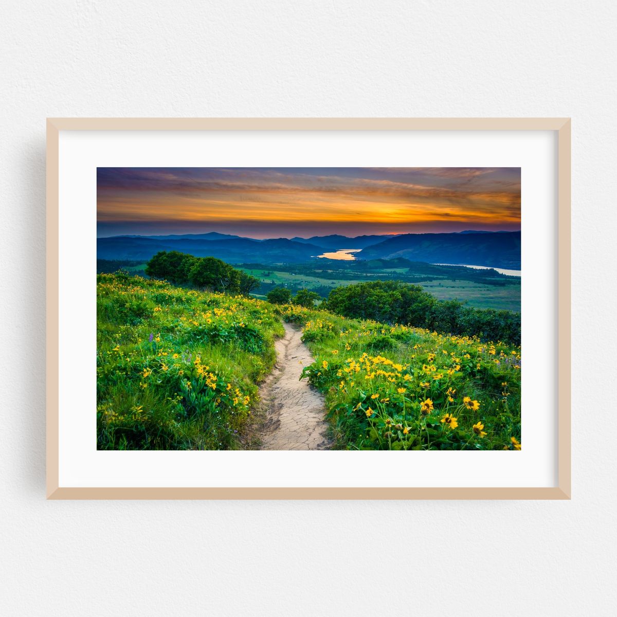 Wildflower – image 1 of 6