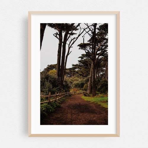 Golden Gate Park Path II