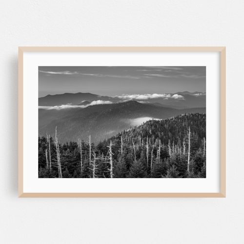In The Smokies B&W