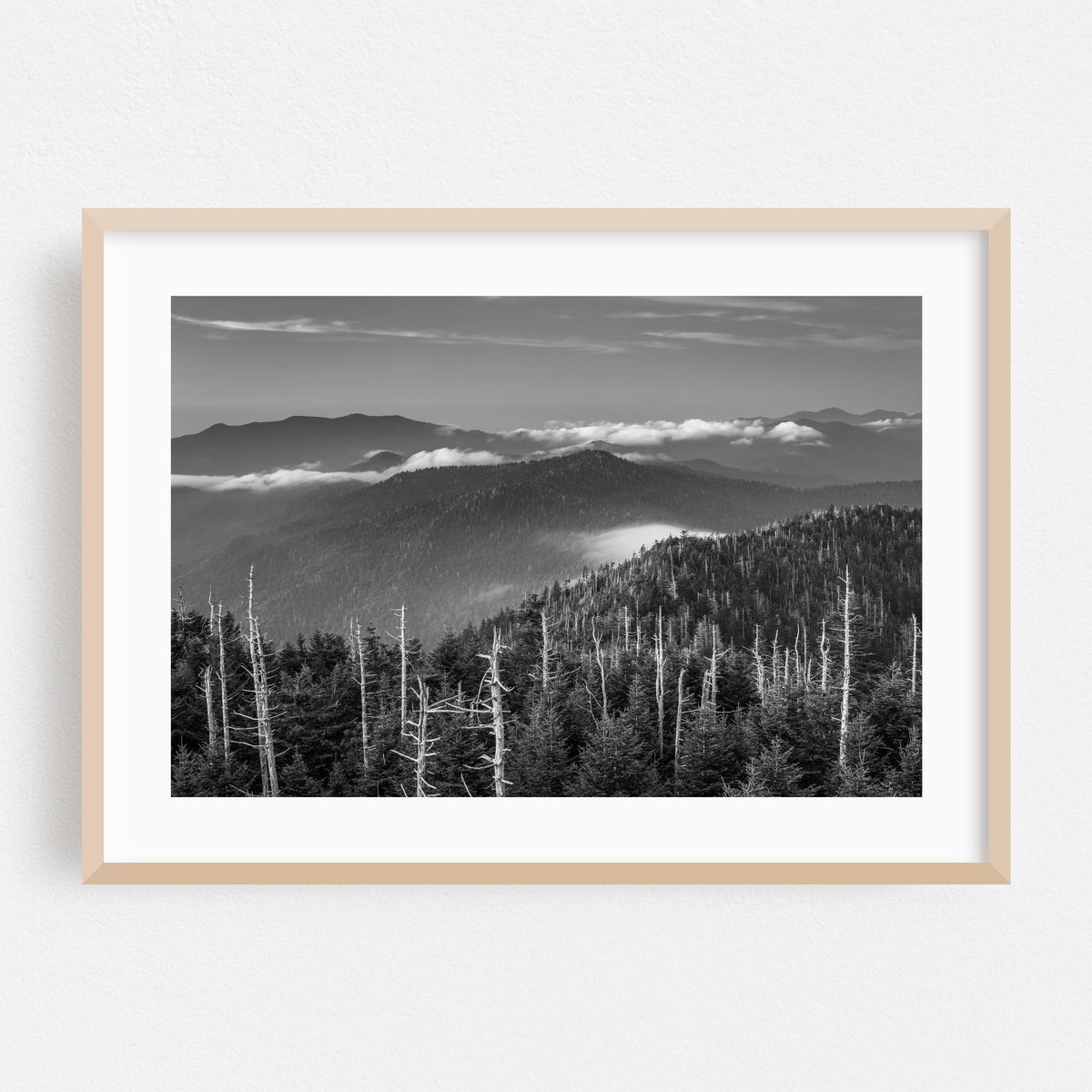 In The Smokies B&W – image 1 of 6