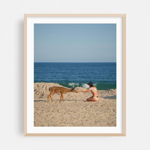 Fire Island Deer 02