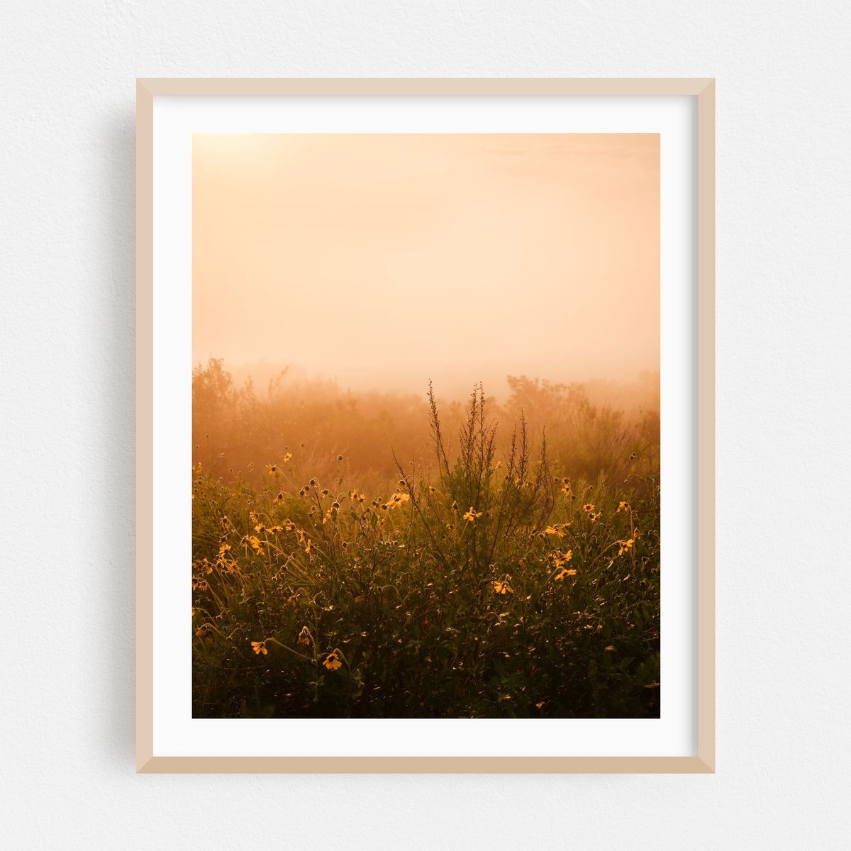 Top of the World, Laguna Beach – image 1 of 12