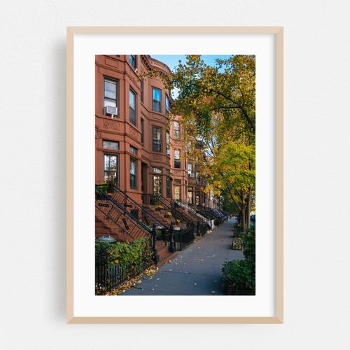Park Slope Autumn 02