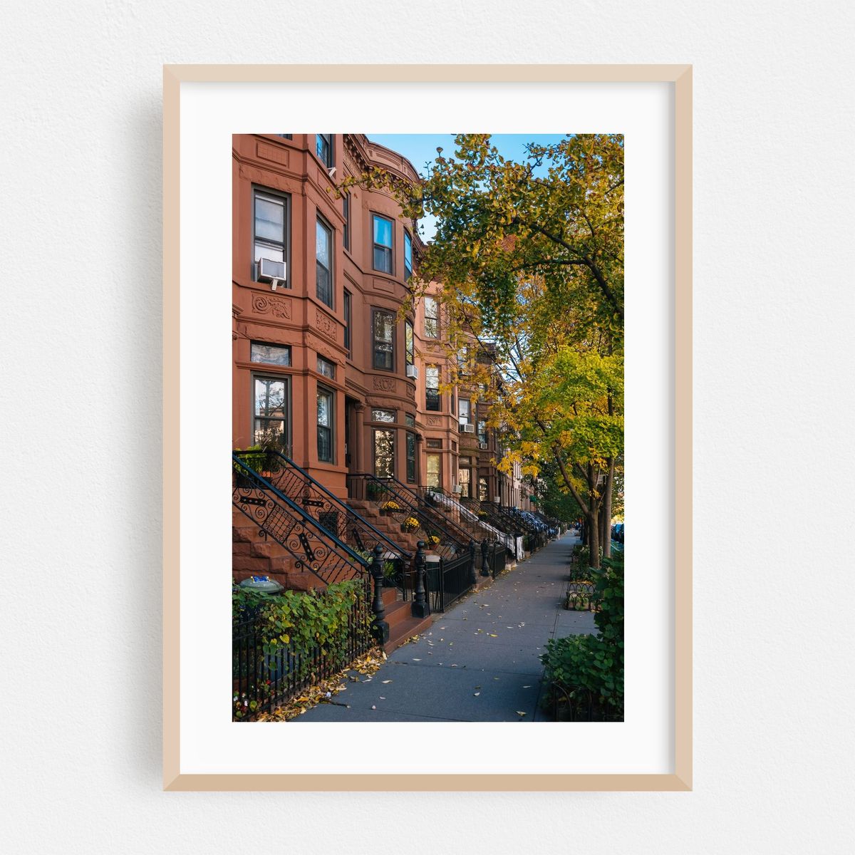Park Slope Autumn 02 – image 1 of 16
