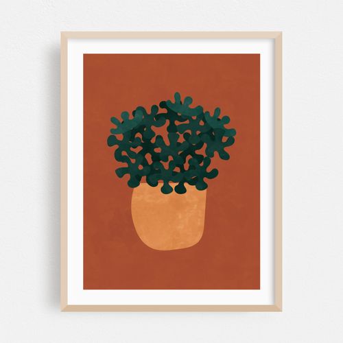 Potted Plant Boho Botanical