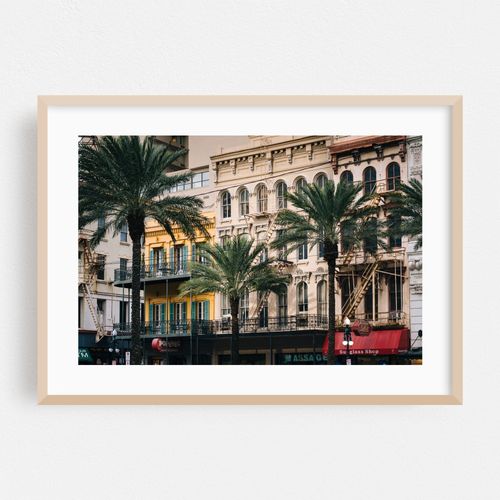 Palms on Canal