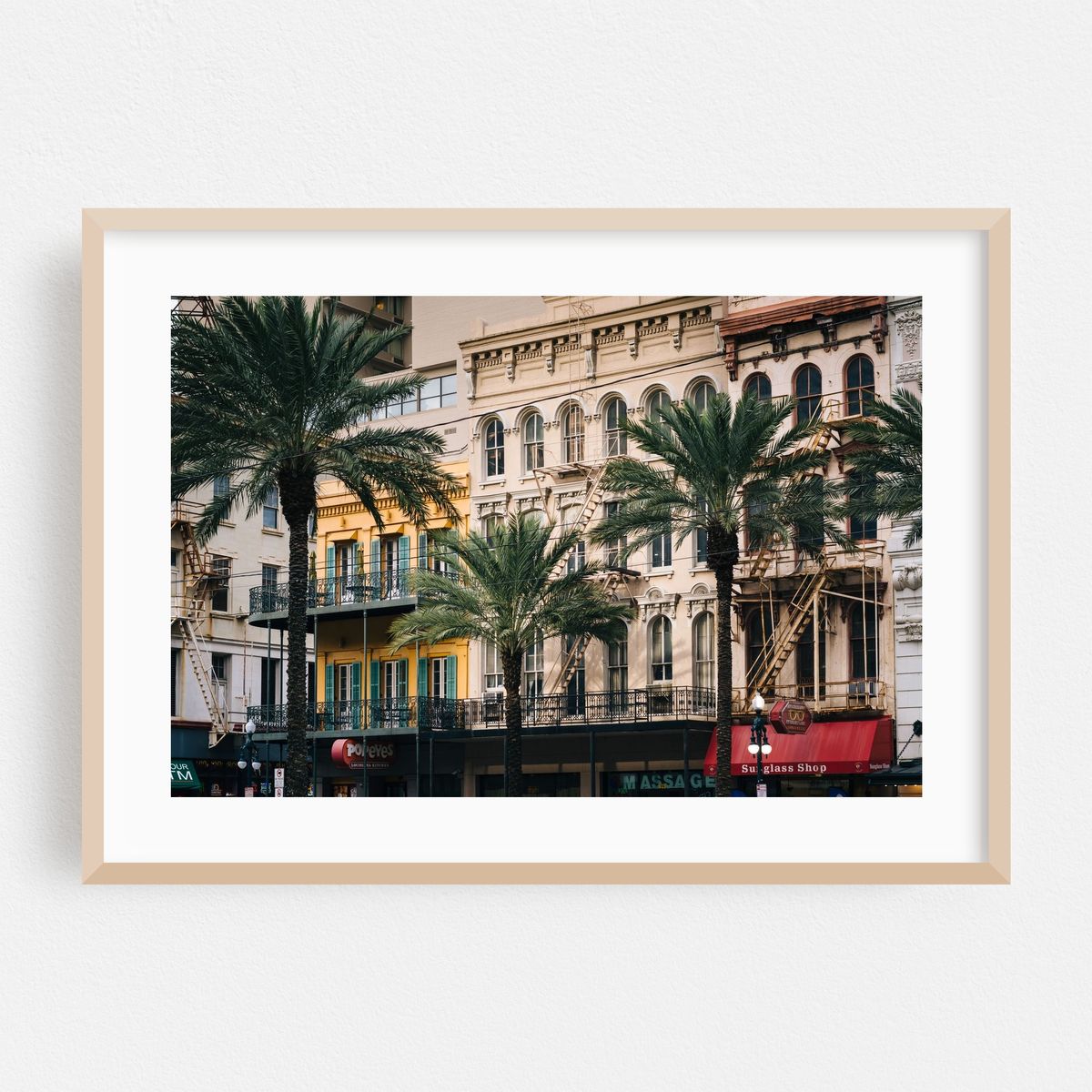 Palms on Canal – image 1 of 6