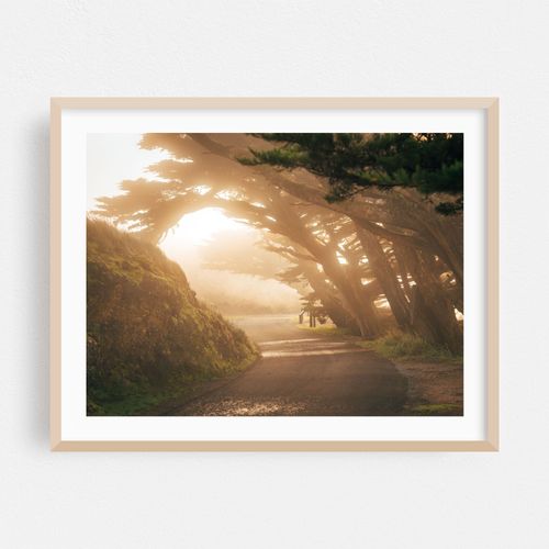 Misty Point Reyes