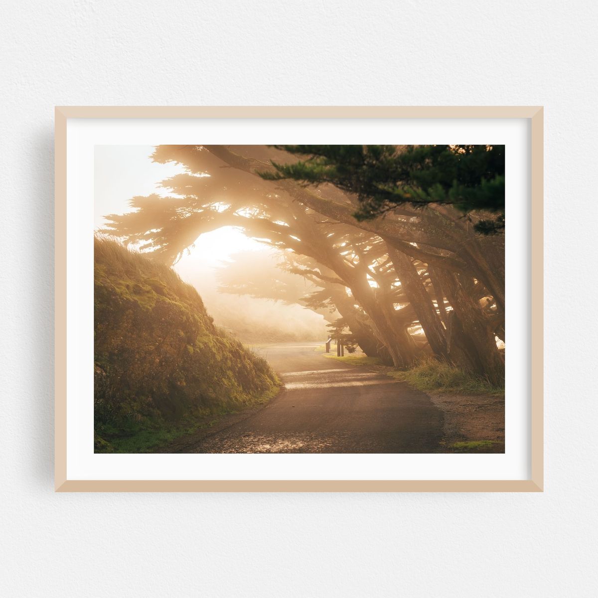 Misty Point Reyes – image 1 of 3