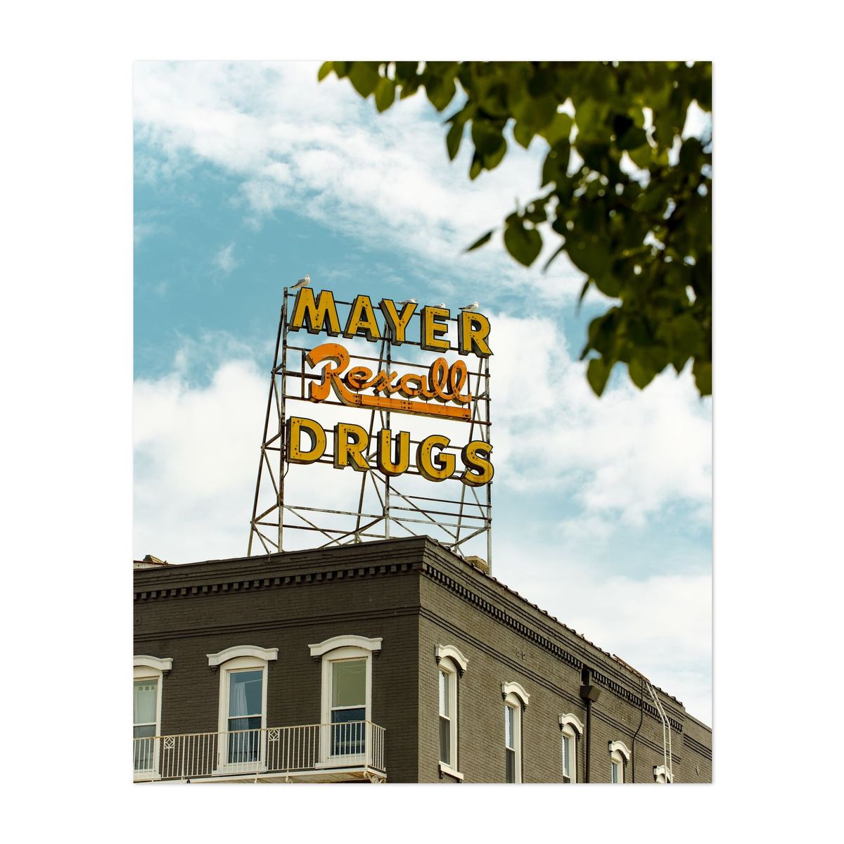 Mayer Rexall Sign 02 – image 1 of 2