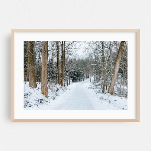 Snowy Road 01