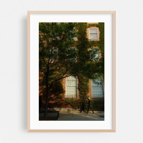 Building Ivy 01
