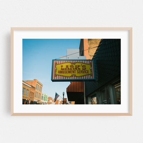 Lark Amusement, Bristol
