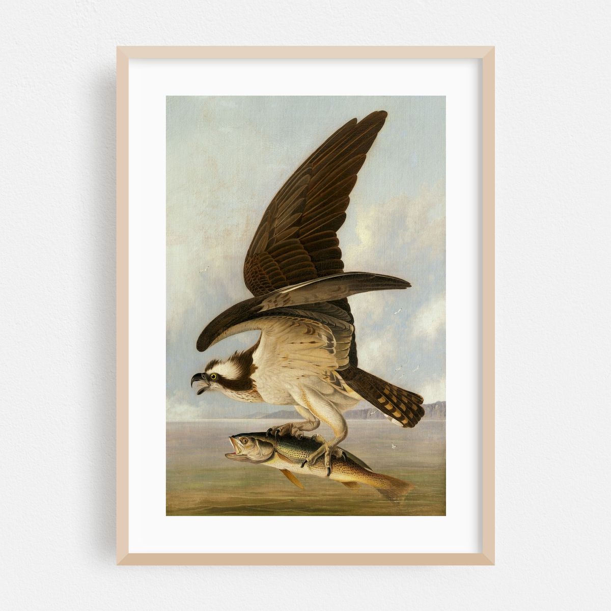 Osprey and Weakfish (1829) – image 1 of 16