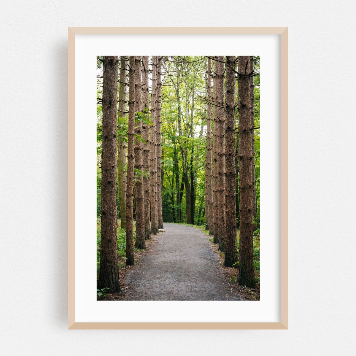 Straight Through – image 1 of 16