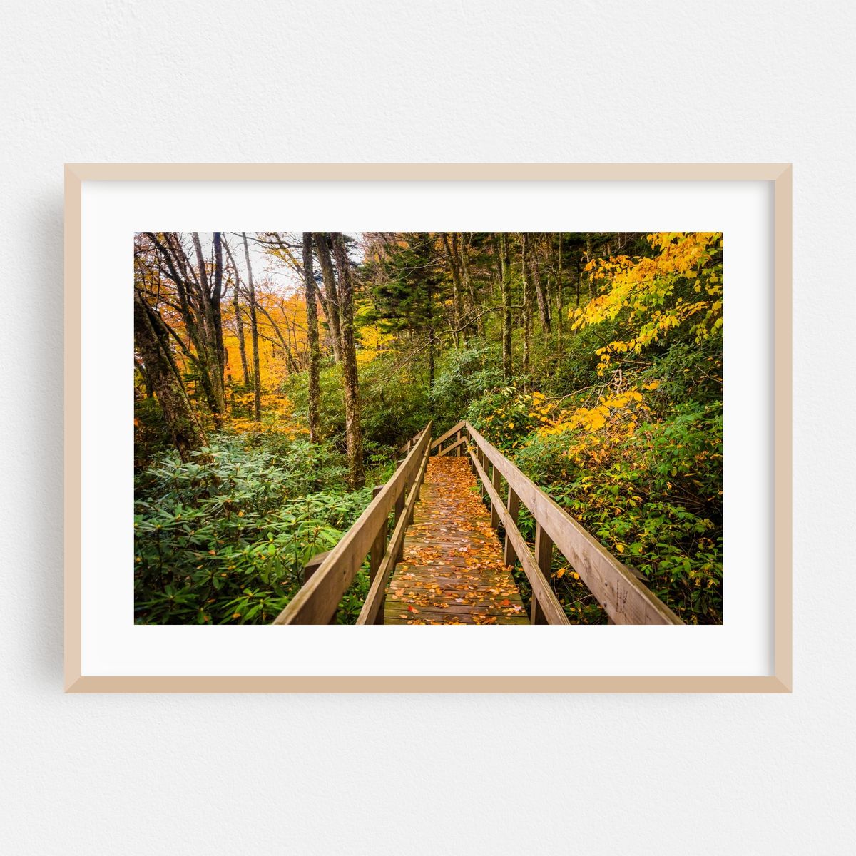 Crossing Tanawha 02 – image 1 of 6