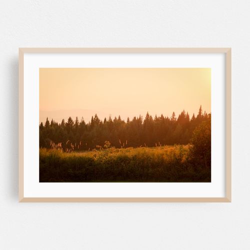 From Sentinel Rock, Westmore 04