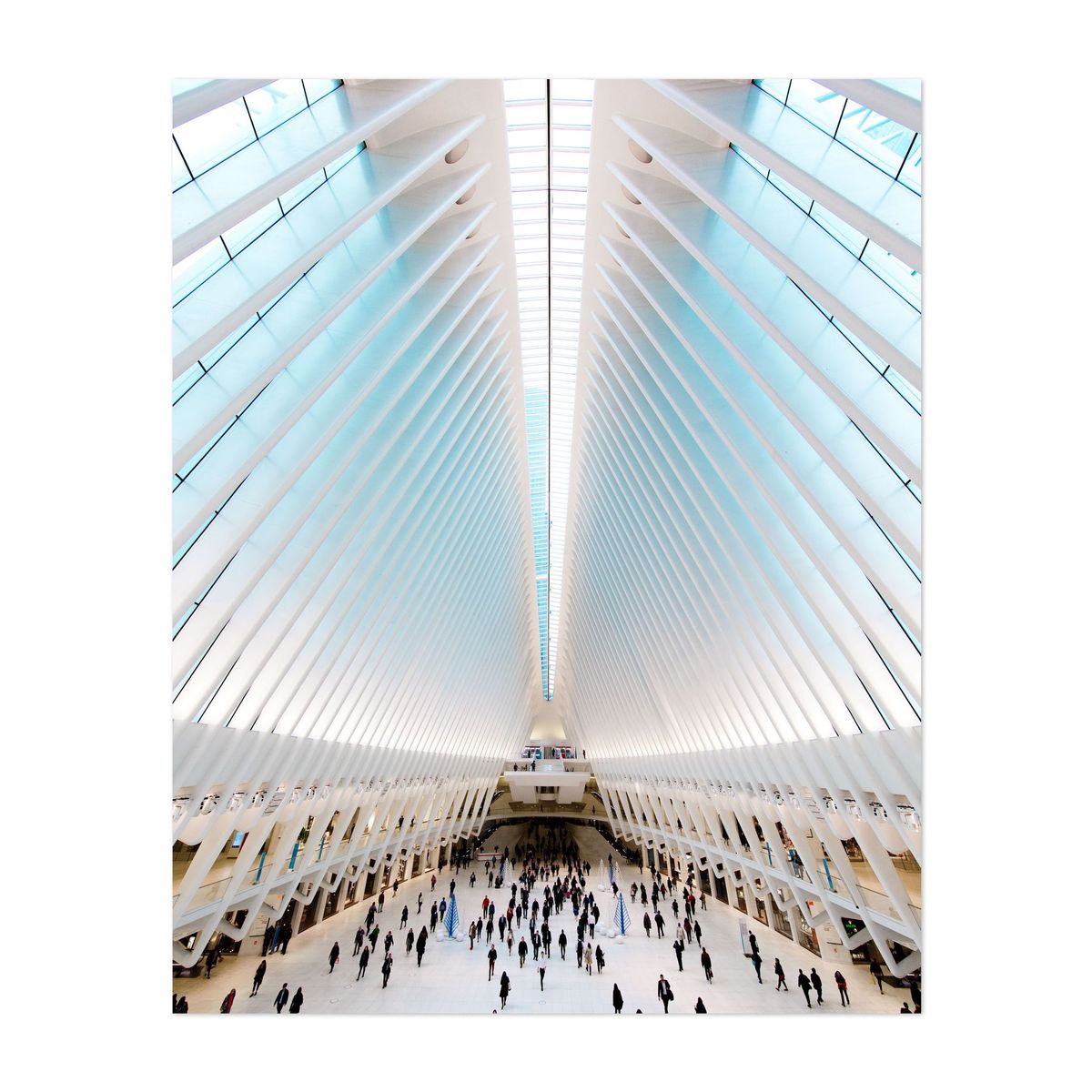 The Oculus 01 – image 1 of 2