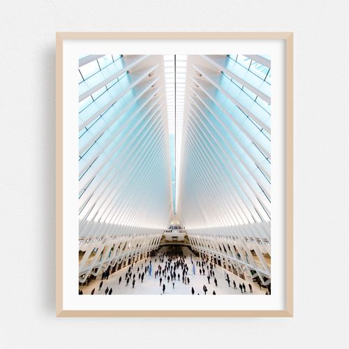 The Oculus 01