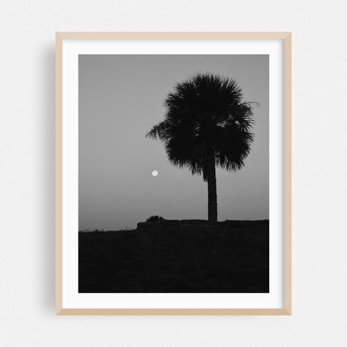 Florida Moonrise