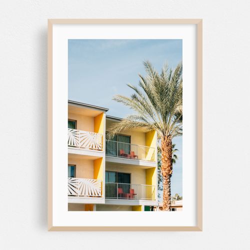 The Saguaro 02