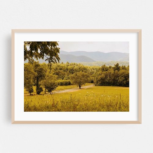Cade's Cove