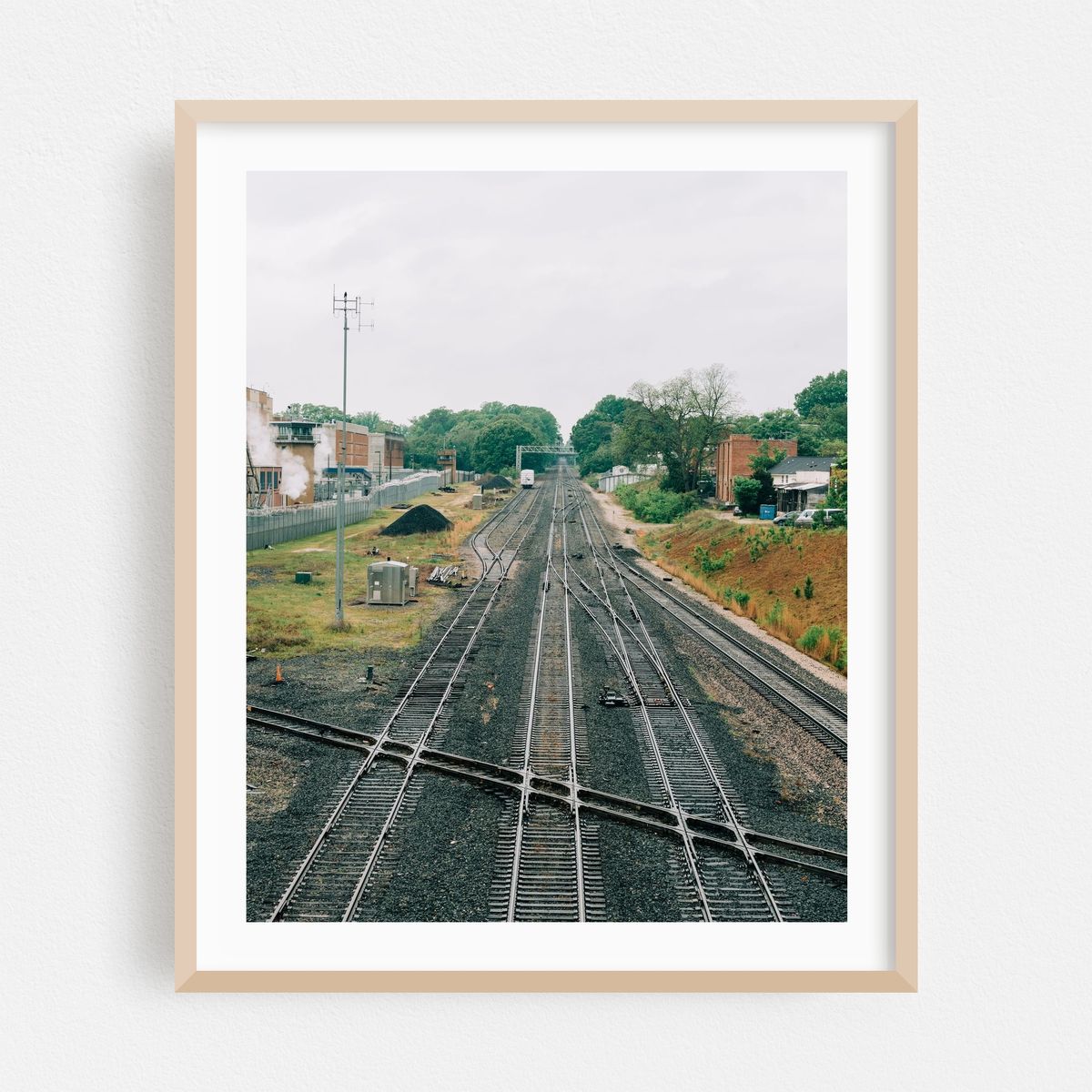 Rail, Raleigh 02 – image 1 of 12