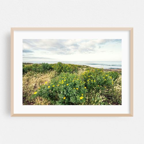 Coastal Blossoms