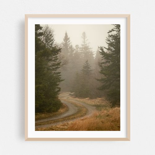 Road in Fog, Beals Island