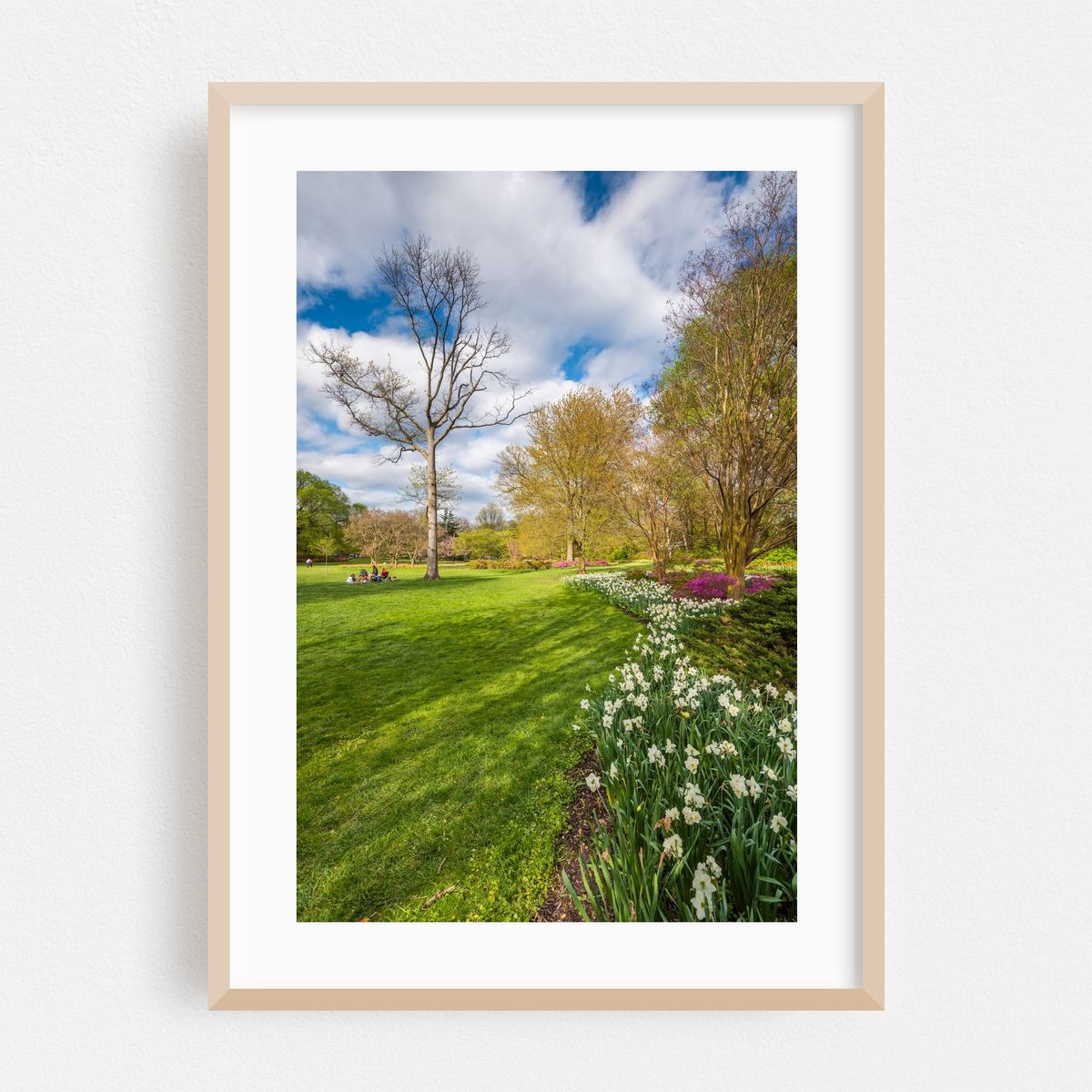 Sherwood Gardens – image 1 of 16