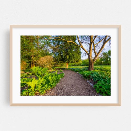 Pathway 02
