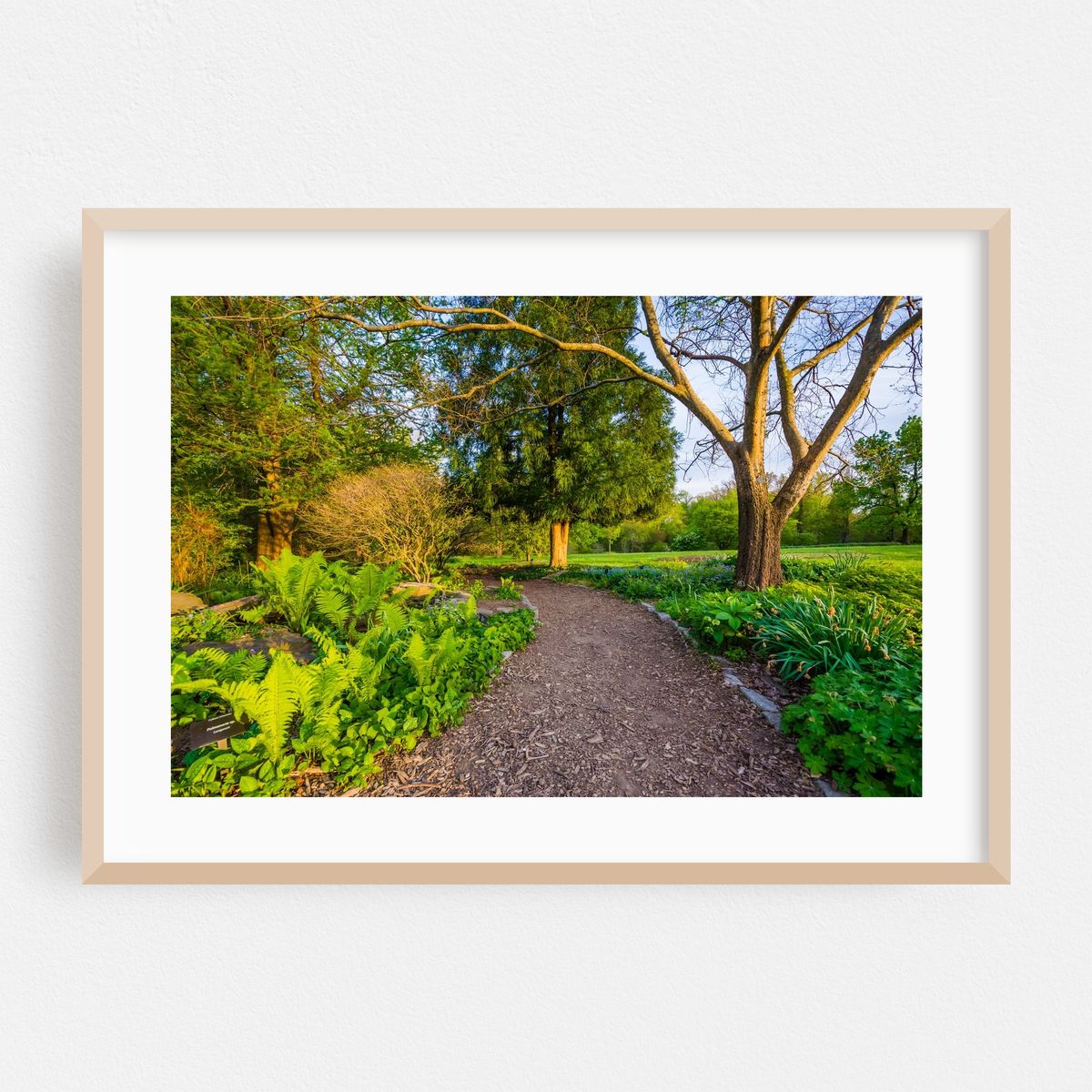 Pathway 02 – image 1 of 6