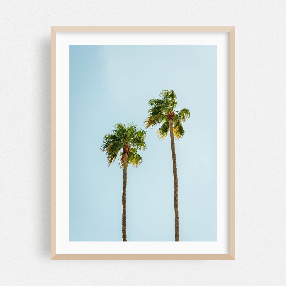 Palm Trees, Palm Springs – image 1 of 3