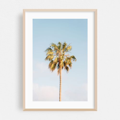 Laguna Lone Palm