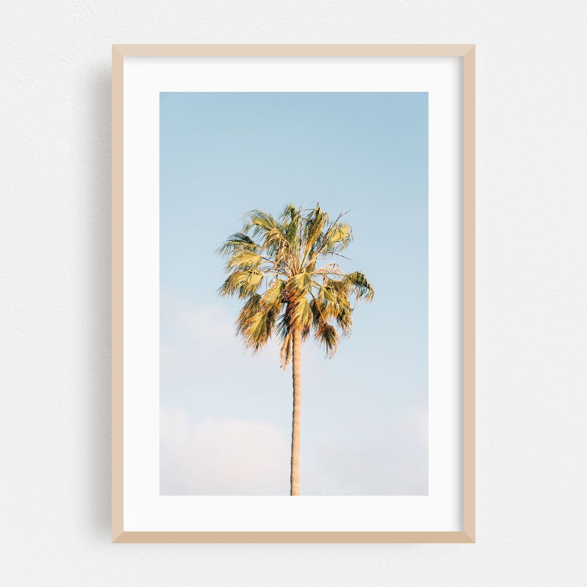 Laguna Lone Palm – image 1 of 16