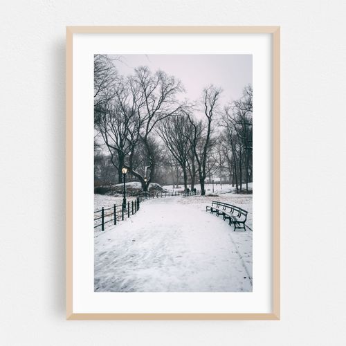 Snowy Central Park 01
