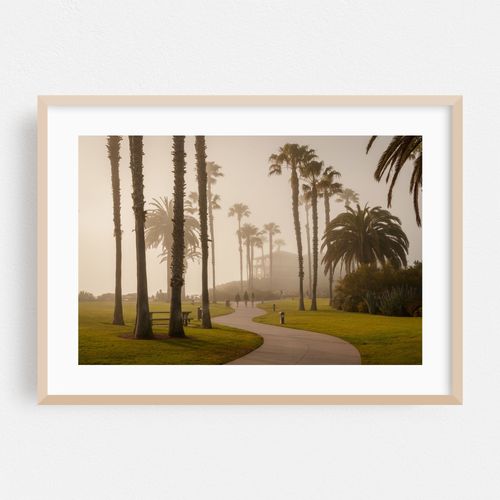 Fog at Treasure Island Park, Laguna Beach