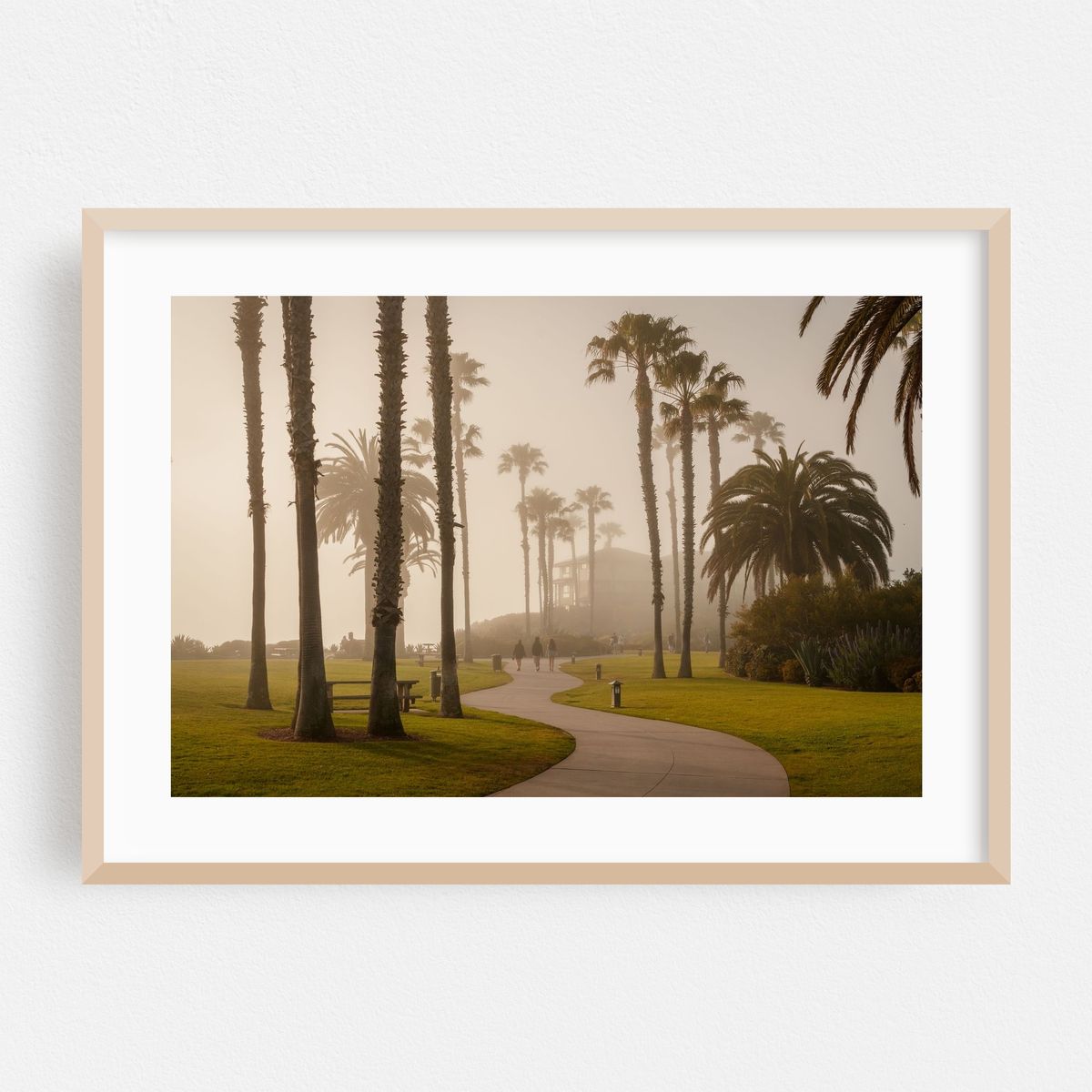 Fog at Treasure Island Park, Laguna Beach – image 1 of 6