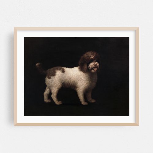 Water Spaniel (1769)