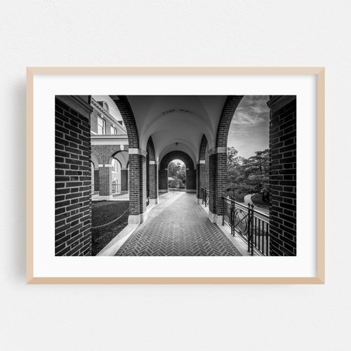 Arches B&W