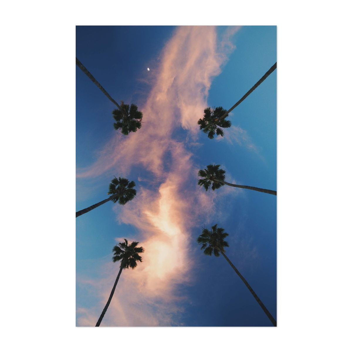 Look Up – image 1 of 2