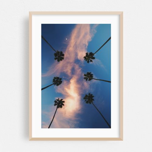 Look Up