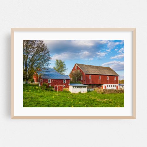 Purely Rustic