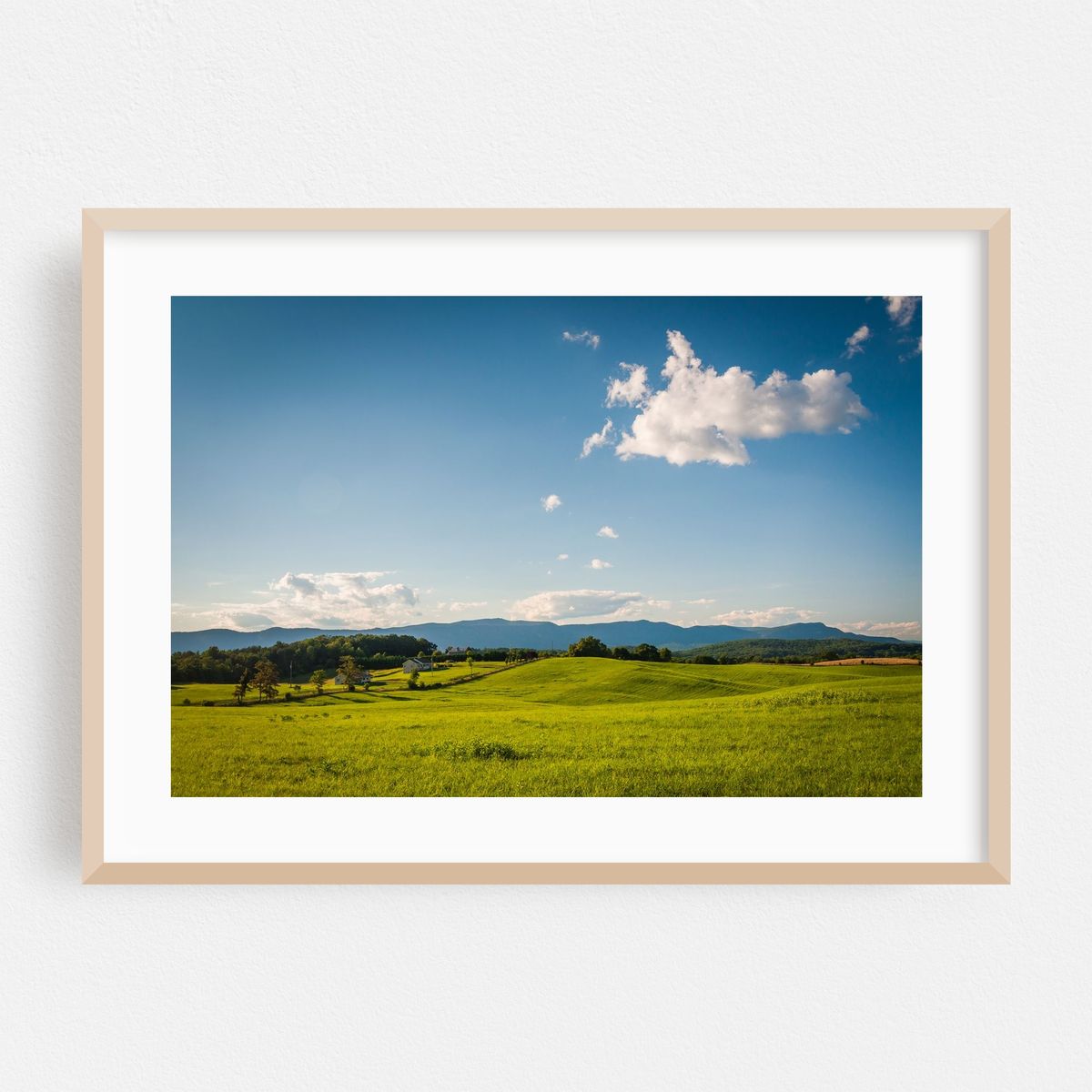 Fields, Shenandoah Valley – image 1 of 6