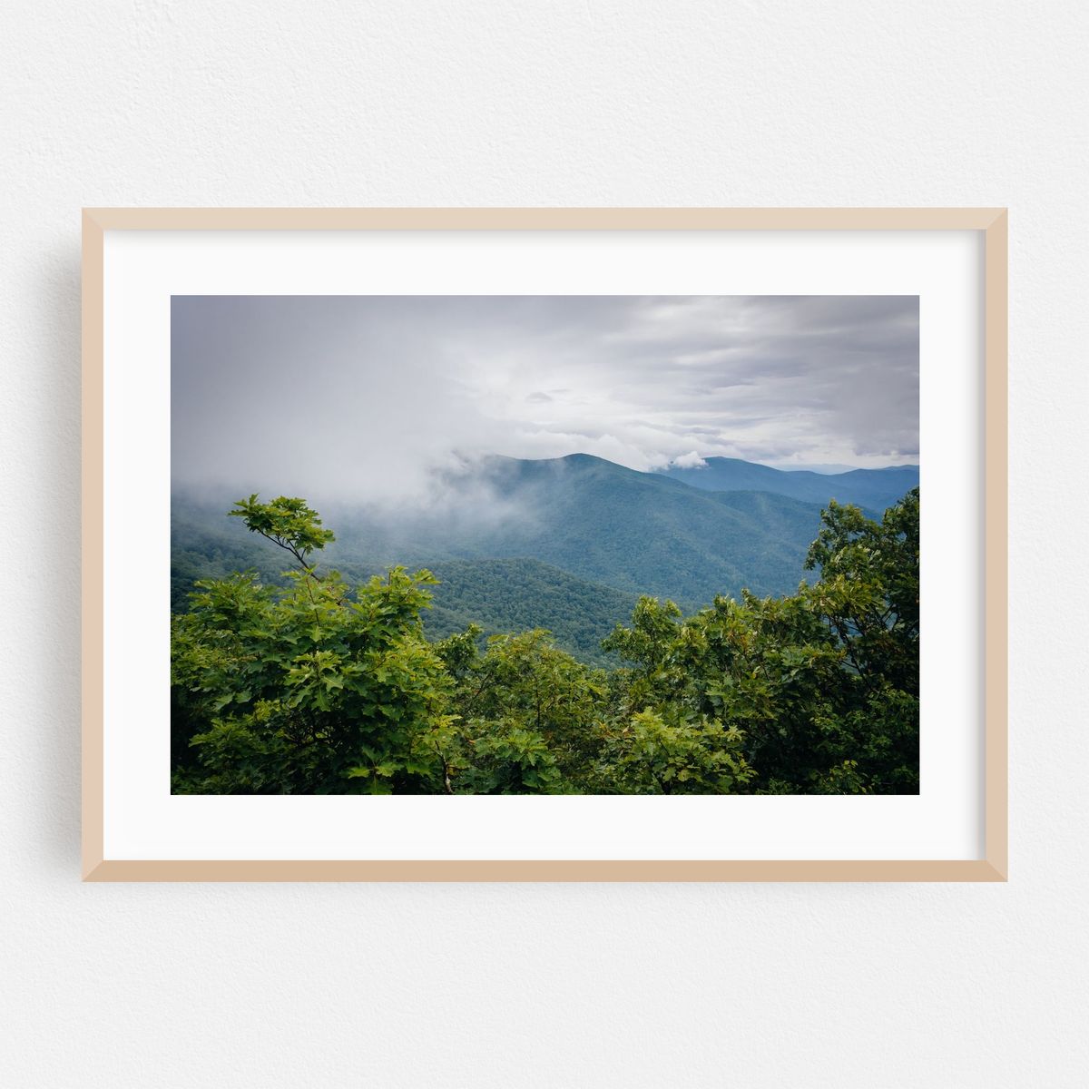 Foggy Blue Ridge – image 1 of 6