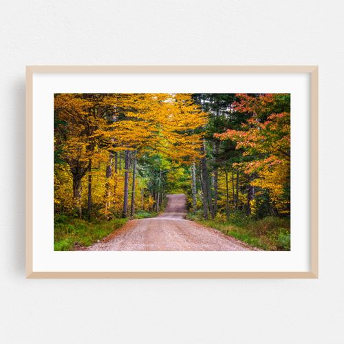 Old Cherry Mountain Road 01