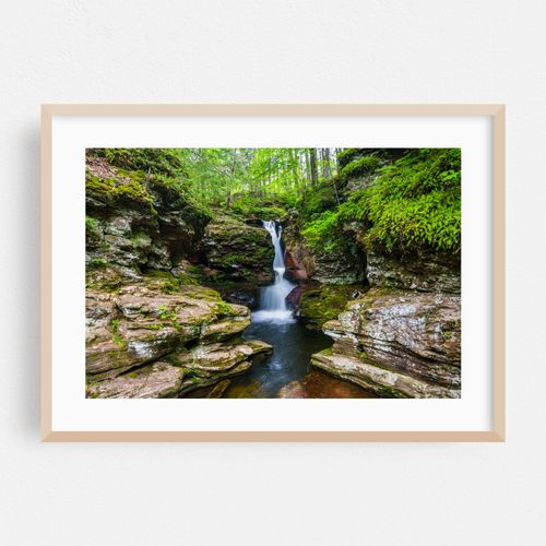 Adam's Falls